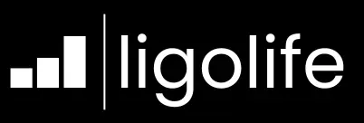 Performance Marketing Agentur - ligolife Social Recruting - Webdesign